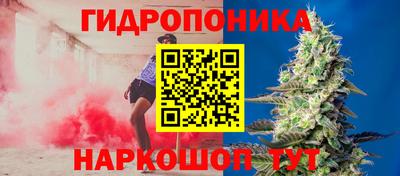 прущие крисы Новодвинск