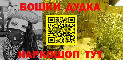 прущие крисы Новодвинск