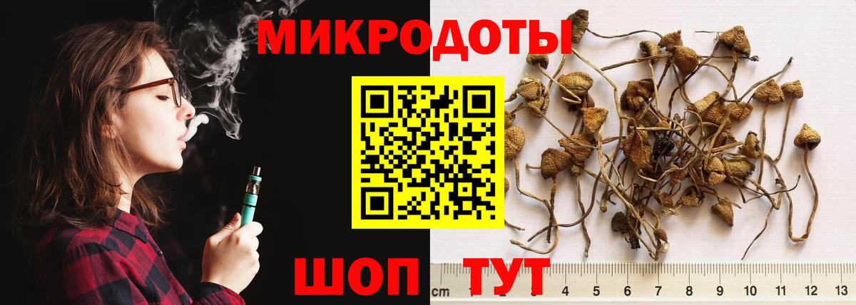 Псилоцибиновые грибы Cubensis Семёнов